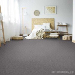 The Stainmaster PetProtect Collection - Husky A1263 The Stainmaster PetProtect Collection - Husky A1263